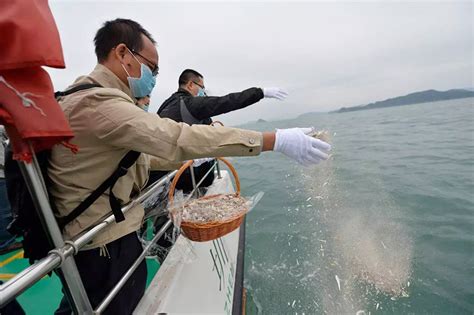 骨灰撒大海意义|骨灰海撒好不好？会不会造成海水污染？